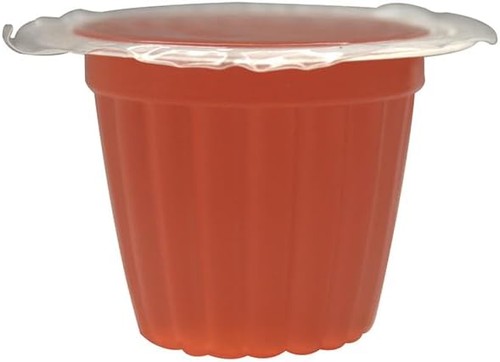 Komodo jelly pots strawberry - pots,