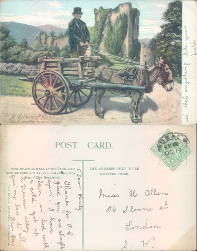 Man donkey cart in - man,