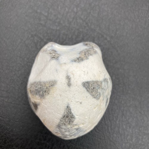 Fossil flint echinoid - , sea