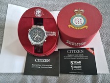 Citizen Men's Eco Drive RAF