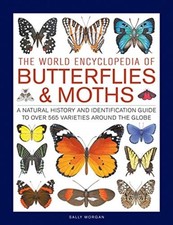 Butterflies & Moths, The World