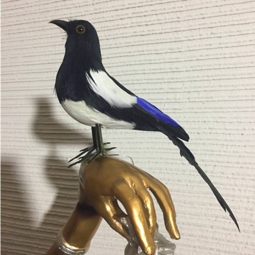 Feather magpie ornament photo - ornament,