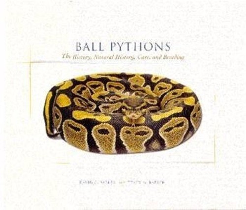 Ball pythons their - ball,