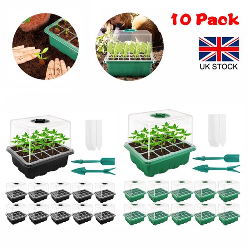 Pack mini propagator - 10,