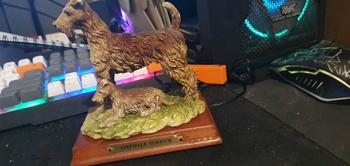 Ariedale wire haired - wire-haired, terrier