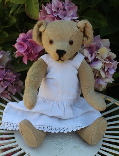 American aetna anttqiu - american, teddy