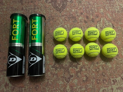 Dunlop fort all - court, tennis