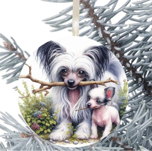 Chinese crested dog - dog, gift