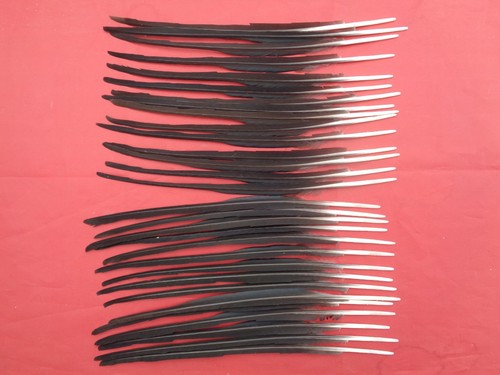 Semi stripped crow - crow, quill
