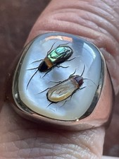 Silver Shibayama Ladies Ring