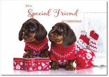 Doodlecards special friend - special,