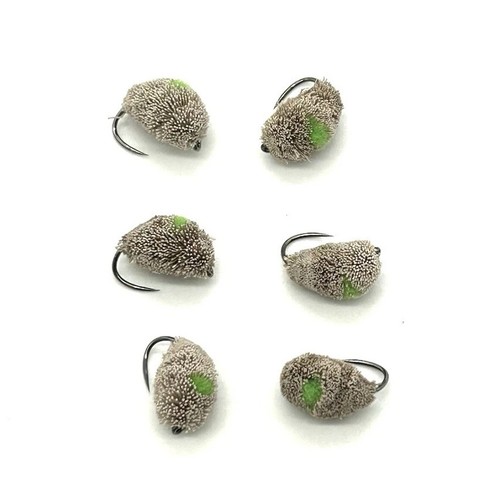 Dog biscuit fly carp - biscuit,