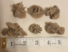 Desert Sand Roses X6