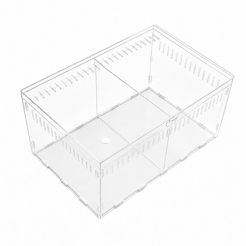 Transparent acrylic reptile - transparent,