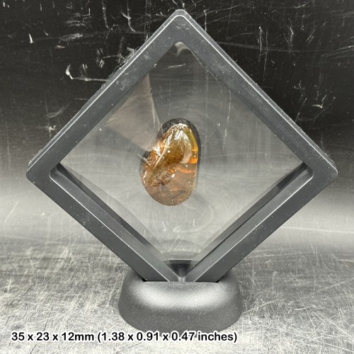 Genuine cretaceous amber - amber, with