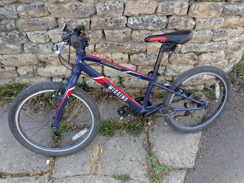 Wiggins chartres kids - chartres, 20"