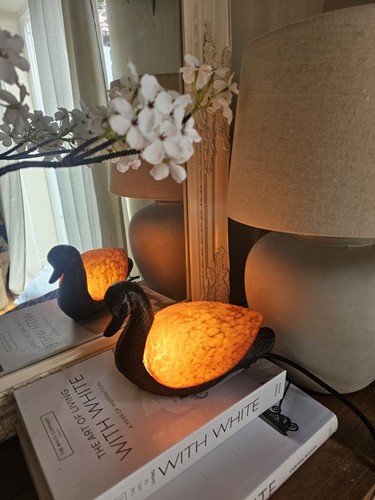 Art deco duck lamp - art, lamp.