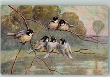 39989683 - Oilette Tom Tits a