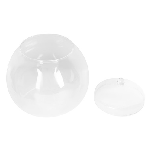 Sealed terrarium container - sealed,