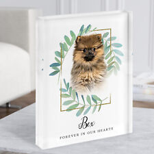 Pomeranian Brown Memorial