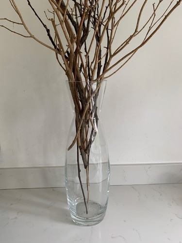 50cm tall transparent glass - tall,
