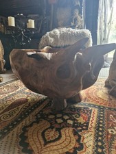 Huge unusual burr wood bowl - unusual,