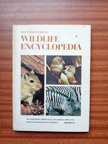 The international wildlife - the,
