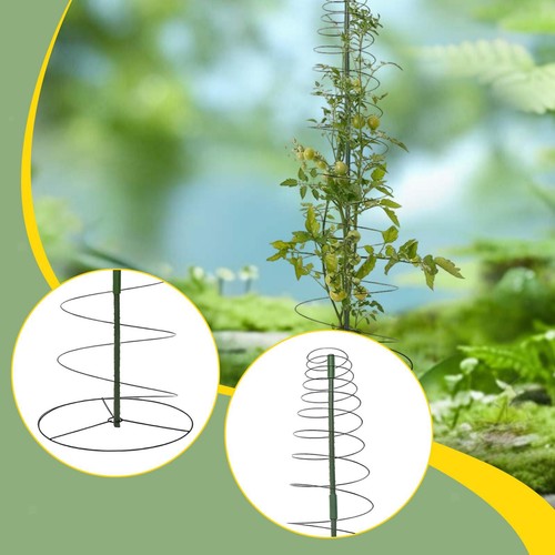Trellis for climbing - trellis,