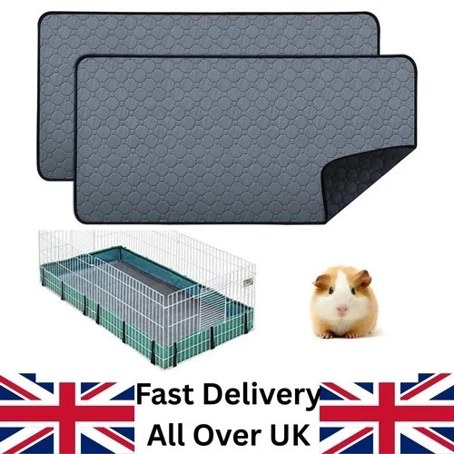 Washable non slip - washable, guinea