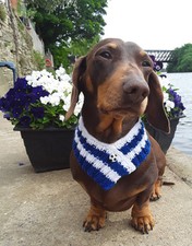 SHEFFIELD WEDNESDAY Colours