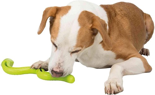Trixie snake dog treat holding - dog,