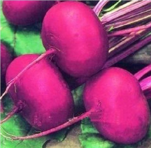 Vegetable beetroot - -,