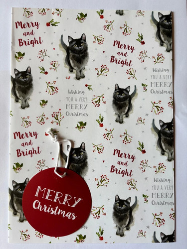 Black cat merry - &, bright