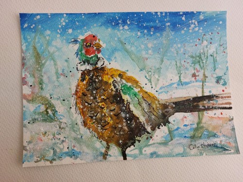 Original wildlife watercolour