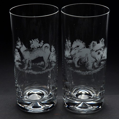 Chihuahua dog highball glass - chihuahua,