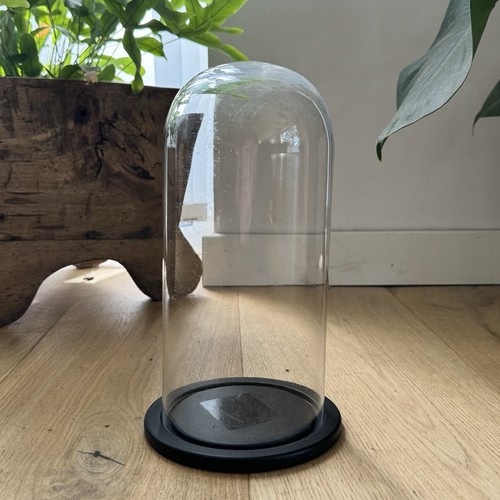 Glass display dome cloche bell - glass,