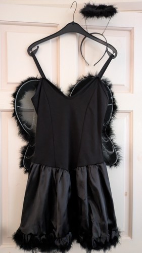 Dark fallen angel fancy dress - fallen,