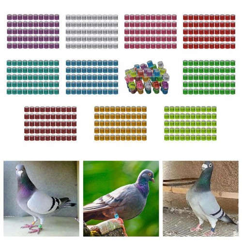 50x reusable 2023 aluminium - reusable,