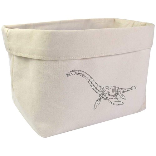 Aquatic dinosaur organiser - organiser, /