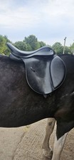 17 Thorowgood T6 COB Saddle