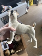 Vinted Staffordshire Jack Russell Terrier