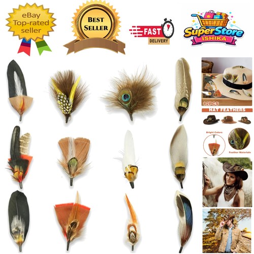 Diy craft feathers 12 - diy,