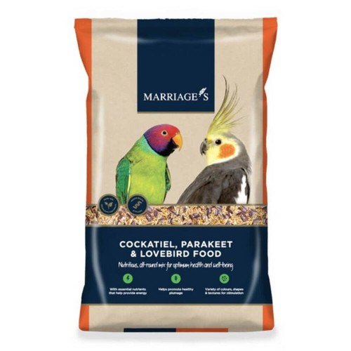 Marriages cockatiel parakeet - marriages,