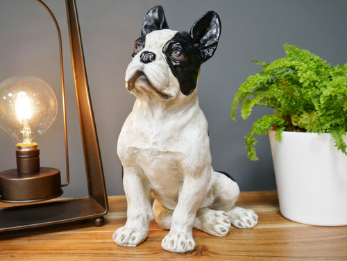 Sitting french bulldog - french,