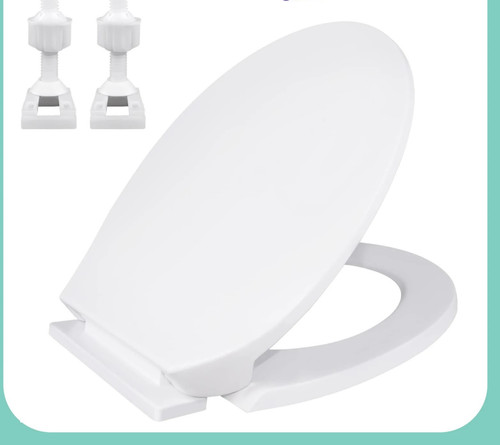 Luxury bathroom toilet - bathroom,