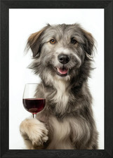 Pyrenean Shepherd dog with