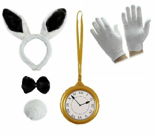 White rabbit costume for kids - costume,