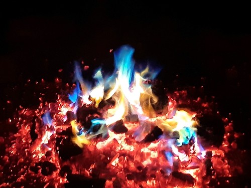 Magic fire pine cones - fire, pine-cones
