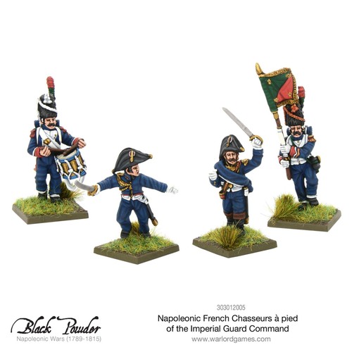Black powder napoleonic - powder,