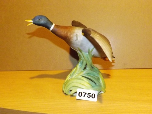 Spode bone china - , mallard